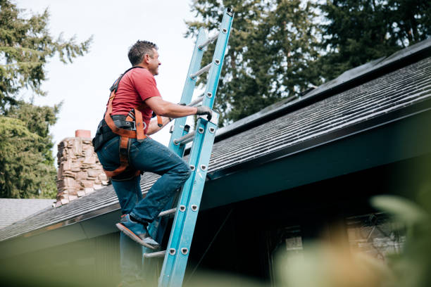 Roof Insulation in Whitmore Lake, MI